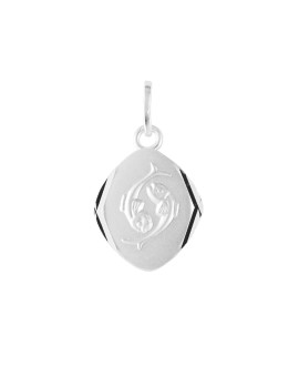 Pendentif mixte - Argent 925 - Signe Astrologique - Poissons