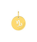 Médaille mixte - Or 9 Carats - Signe Astrologique - Capricorne