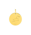 Médaille mixte - Or 9 Carats - Signe Astrologique - Constellation du Lion