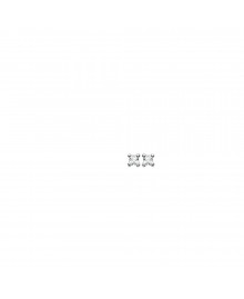 Boucles d'oreilles Femme - Argent 925 - Oxyde de zirconium
