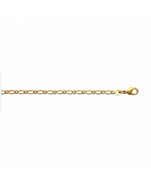 Chaine Homme - Plaqué Or - Cheval alternée 1+1 - Largeur : 2,2 mm - Longueur : 60 cm
