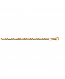 Chaine Homme - Plaqué Or - Cheval alternée 1+1 - Largeur : 2,5 mm - Longueur : 55 cm