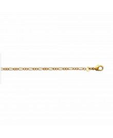 Chaine Homme - Plaqué Or - Cheval alternée 1+2 - Largeur : 2,2 mm - Longueur : 45 cm