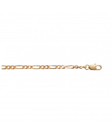 Chaine Homme - Plaqué Or - Cheval alternée 1+2 - Largeur : 3 mm - Longueur : 50 cm