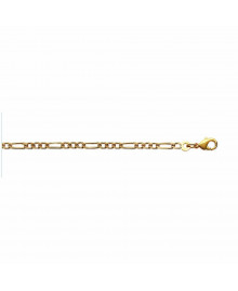 Chaine Homme - Plaqué Or - Cheval alternée 1+3 - Largeur : 2,5 mm - Longueur : 50 cm
