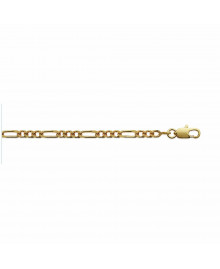 Chaine Homme - Plaqué Or - Cheval alternée 1+3 - Largeur : 3 mm - Longueur : 60 cm
