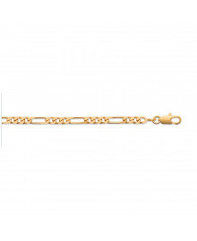 Chaine Homme - Plaqué Or - Cheval alternée 1+3 - Largeur : 3,5 mm - Longueur : 50 cm
