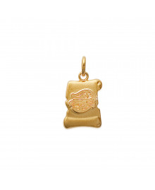 Pendentif Mixte - Plaqué Or - parchemin zodiaque