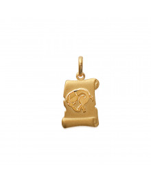 Pendentif Mixte - Plaqué Or - parchemin zodiaque