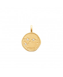 Pendentif Mixte - Plaqué Or - Oxyde de zirconium - zodiaque scorpion constellation