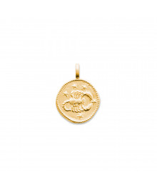 Pendentif Mixte - Plaqué Or - zodiaque