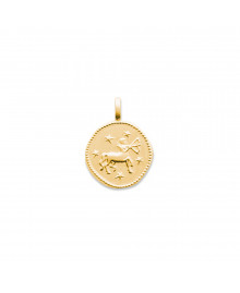 Pendentif Mixte - Plaqué Or - zodiaque