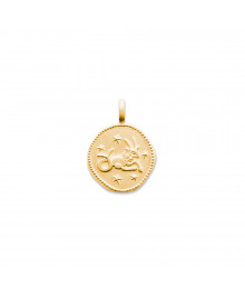 Pendentif Mixte - Plaqué Or - zodiaque
