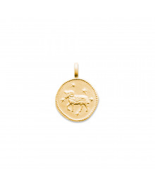 Pendentif Mixte - Plaqué Or - zodiaque