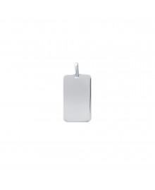 Pendentif Mixte  - Argent 925 - plaque GI