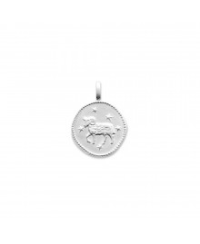 Pendentif Mixte - Argent 925 - zodiaque