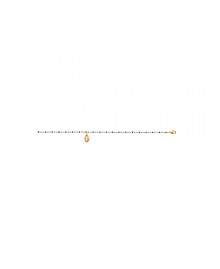 Chaine de chevillle Femme - Plaqué Or - Longueur : 25 cm