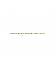 Chaine de chevillle Femme - Plaqué Or - Longueur : 25 cm
