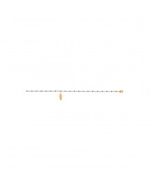 Chaine de chevillle Femme - Plaqué Or - Longueur : 25 cm